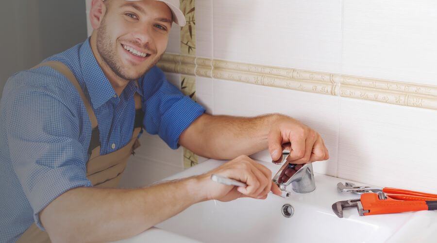 Professional Leak Detection Services services in Morton, MN